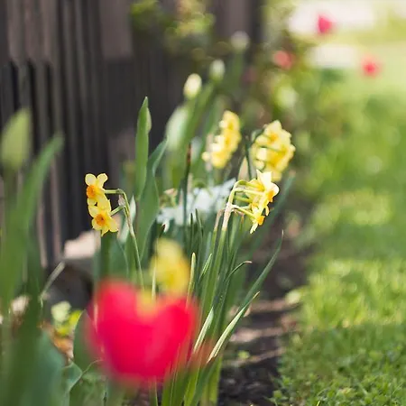 Drevenica 166 Liptovský Trnovec