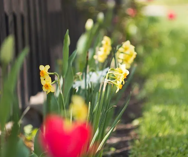 Drevenica 166 Liptovský Trnovec